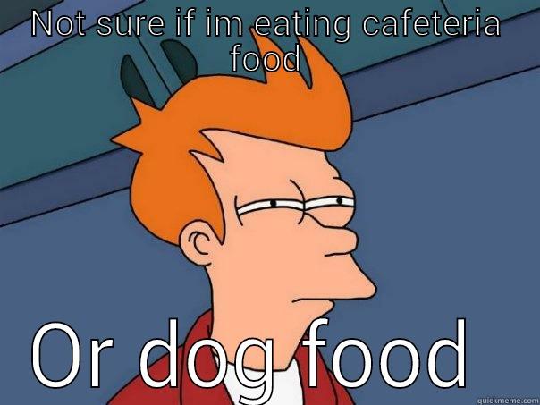 NOT SURE IF IM EATING CAFETERIA FOOD OR DOG FOOD  Futurama Fry