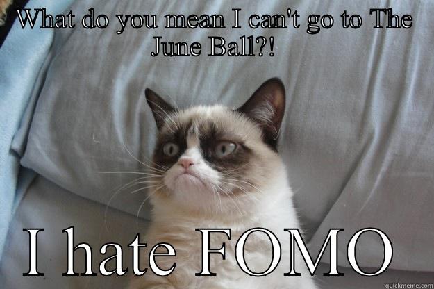 WHAT DO YOU MEAN I CAN'T GO TO THE JUNE BALL?! I HATE FOMO Grumpy Cat