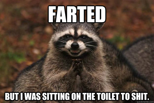 Farted But I Was sitting on the toilet to shit.  Evil Plotting Raccoon