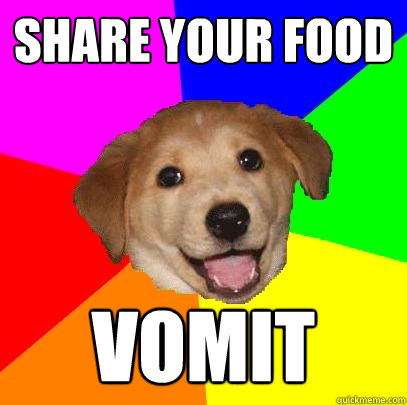 Share your food vomit   Advice Dog