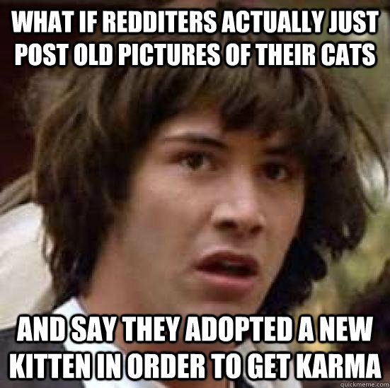 What if redditers actually just post old pictures of their cats and say they adopted a new kitten in order to get karma  conspiracy keanu