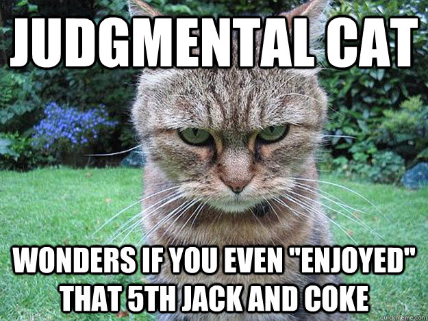 judgmental Cat wonders if you even 