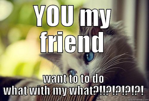 YOU MY FRIEND WANT TO TO DO WHAT WITH MY WHAT?!!?!?!?!?! First World Problems Cat