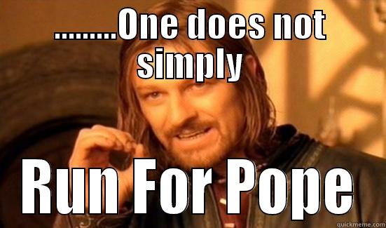 .........ONE DOES NOT SIMPLY RUN FOR POPE Boromir