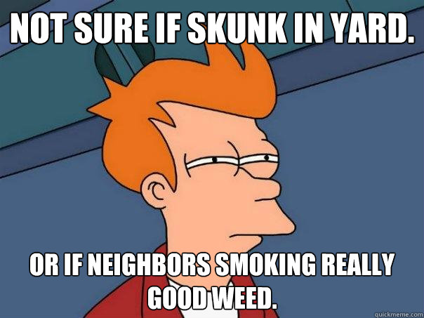 Not sure if skunk in yard. Or if neighbors smoking really good weed.  Futurama Fry