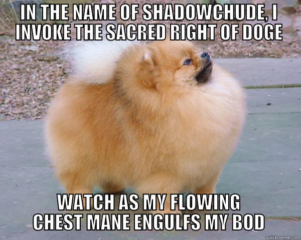 IN THE NAME OF SHADOWCHUDE, I INVOKE THE SACRED RIGHT OF DOGE WATCH AS MY FLOWING CHEST MANE ENGULFS MY BOD Misc