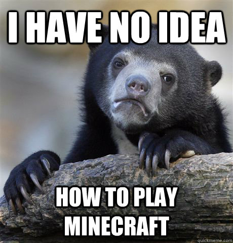 I have no idea how to play minecraft  Confession Bear