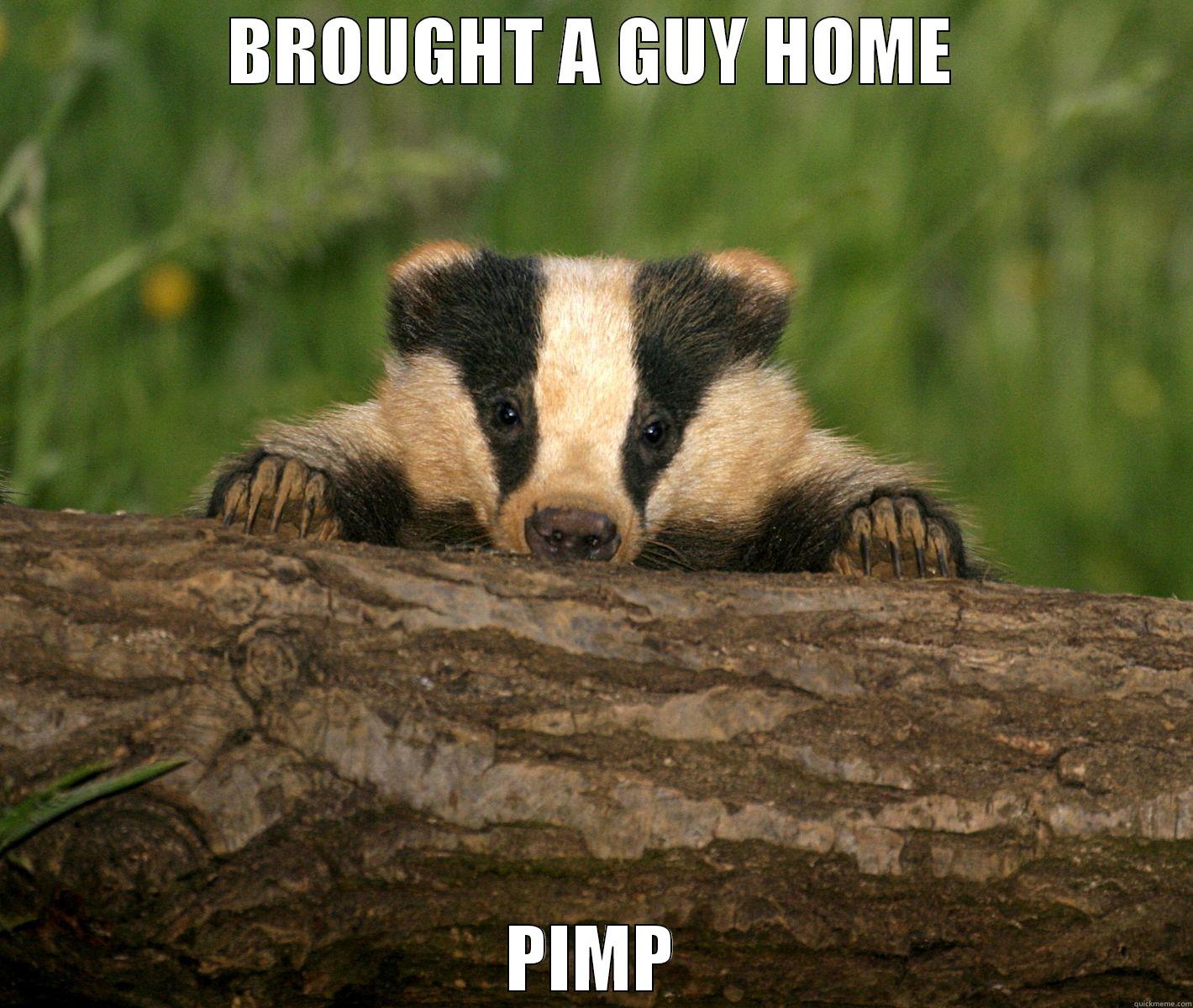 Confession Badger - BROUGHT A GUY HOME PIMP Misc