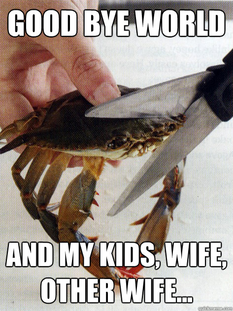 good bye world and my kids, wife, other wife... - good bye world and my kids, wife, other wife...  Optimistic Crab