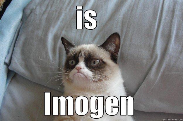 IS  IMOGEN Grumpy Cat