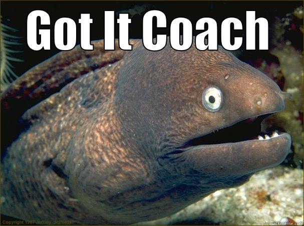 GOT IT COACH  Bad Joke Eel