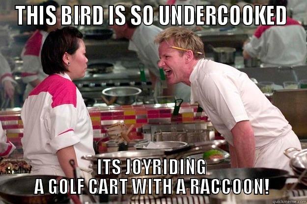 THIS BIRD IS SO UNDERCOOKED ITS JOYRIDING A GOLF CART WITH A RACCOON! Gordon Ramsay