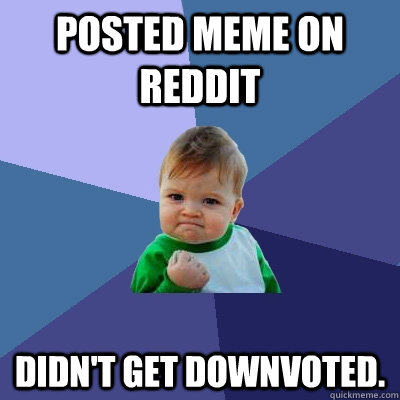 Posted Meme on Reddit DIDN'T GET DOWNVOTED.  Success Kid