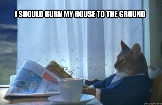 I should burn my house to the ground  Sophisticated Cat