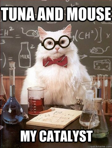 Tuna and Mouse My catalyst  Chemistry Cat