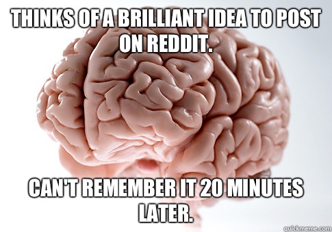 Thinks of a brilliant idea to post on reddit.  Can't remember it 20 minutes later.   Scumbag Brain