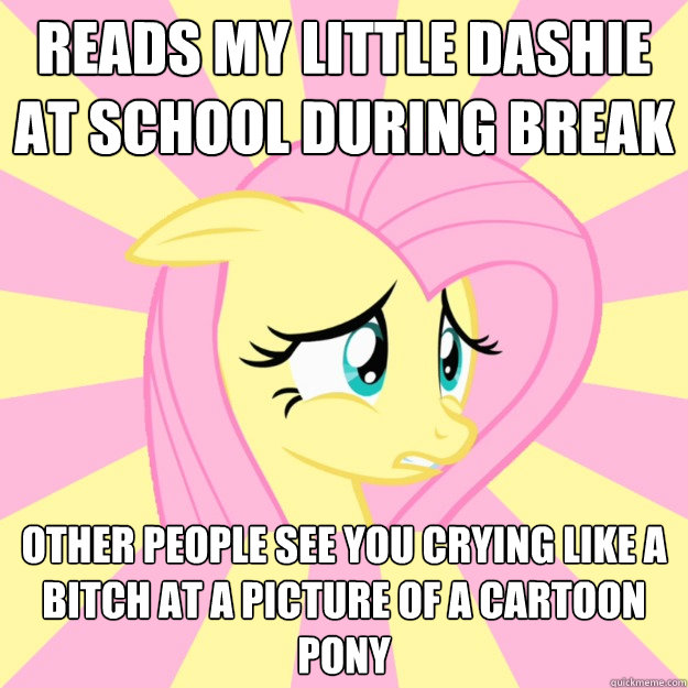 reads my little dashie at school during break other people see you crying like a bitch at a picture of a cartoon pony  Socially awkward brony