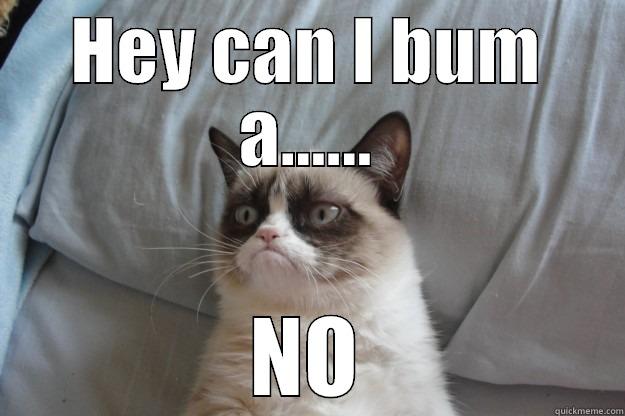 Grump cat anti smoking - HEY CAN I BUM A...... NO Grumpy Cat