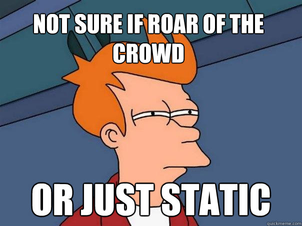 Not sure if roar of the crowd Or just static  Futurama Fry