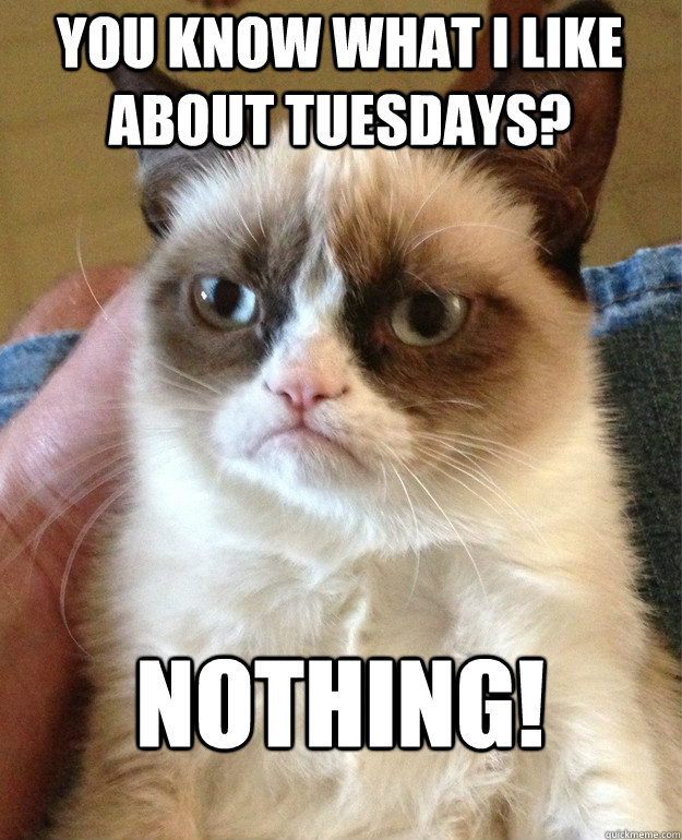 you know what i like about tuesdays? nothing!  Grumpy Cat