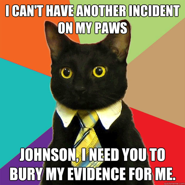 I can't have another incident on my paws Johnson, I need you to bury my evidence for me.  Business Cat