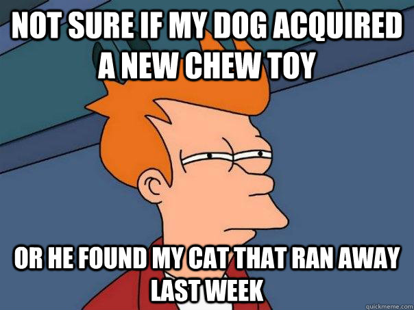 not sure if my dog acquired a new chew toy or he found my cat that ran away last week  Futurama Fry