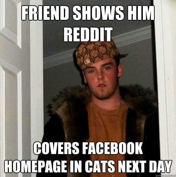 Friend shows him reddit Covers facebook homepage in cats next day - Friend shows him reddit Covers facebook homepage in cats next day  Scumbag Steve