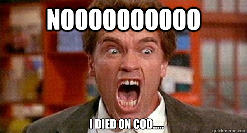 noooooooooo i died on Cod..... - noooooooooo i died on Cod.....  My Face Meme