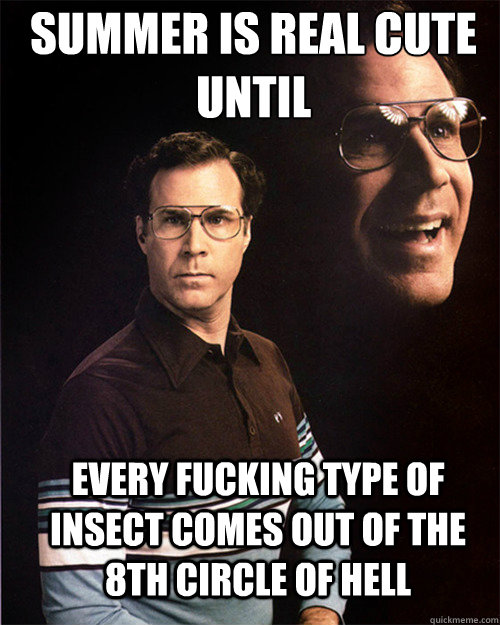 summer is real cute until every fucking type of insect comes out of the 8th circle of hell - summer is real cute until every fucking type of insect comes out of the 8th circle of hell  will ferrell