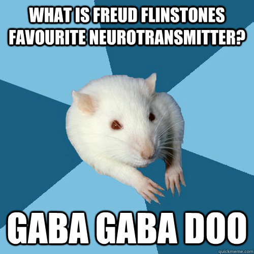 What is Freud Flinstones Favourite Neurotransmitter? GABA GABA Doo  Psychology Major Rat