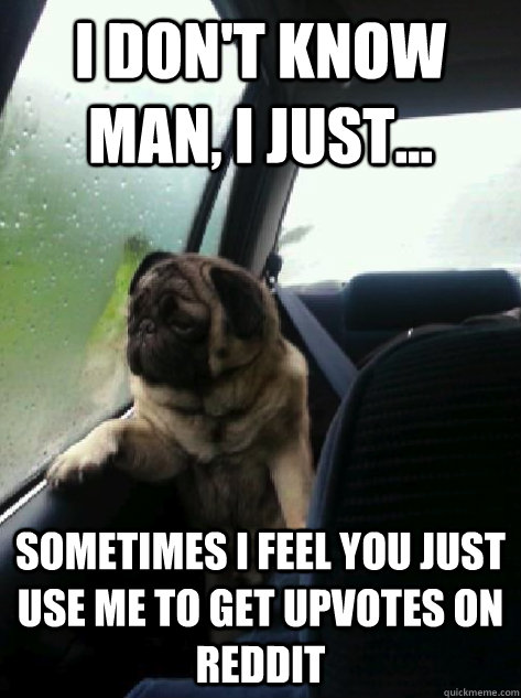 I don't know man, I just... sometimes i feel you just use me to get upvotes on Reddit  Introspective Pug