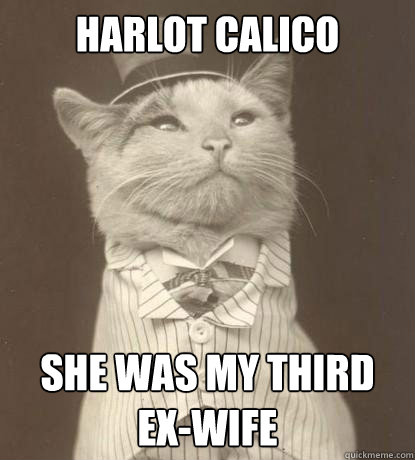 harlot calico  she was my third ex-wife  Aristocat