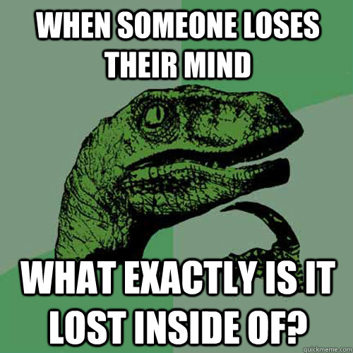 when someone loses their mind what exactly is it lost inside of?  Philosoraptor