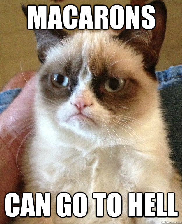 Macarons Can go to hell  Grumpy Cat