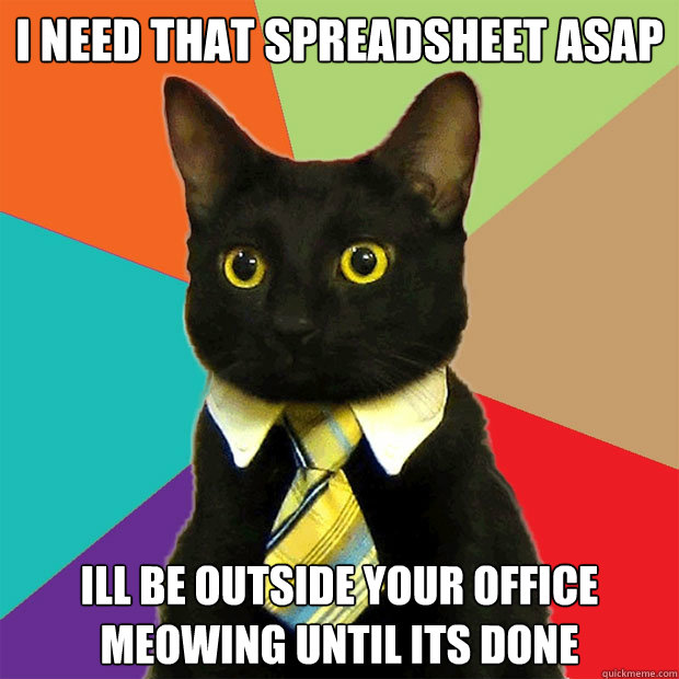 i need that spreadsheet asap ill be outside your office meowing until its done  Business Cat