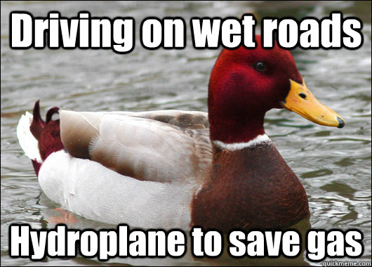 Driving on wet roads Hydroplane to save gas - Driving on wet roads Hydroplane to save gas  Malicious Advice Mallard