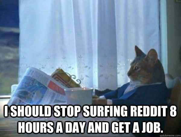  I should stop surfing Reddit 8 hours a day and get a job.  morning realization newspaper cat meme