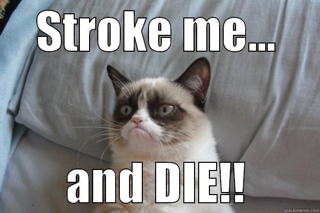 Grumpy cat - STROKE ME... AND DIE!! Grumpy Cat