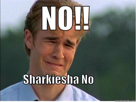 NO!! SHARKIESHA NO                                                                        1990s Problems