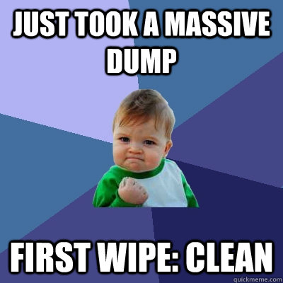 Just took a massive dump First wipe: clean - Just took a massive dump First wipe: clean  Success Kid