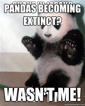 Pandas becoming extinct? wasn't me!  Plausible deniability panda