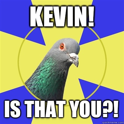 Kevin! Is that you?! - Kevin! Is that you?!  Religion Pigeon