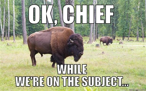 territorial infringed bison - OK, CHIEF WHILE WE'RE ON THE SUBJECT... Misc