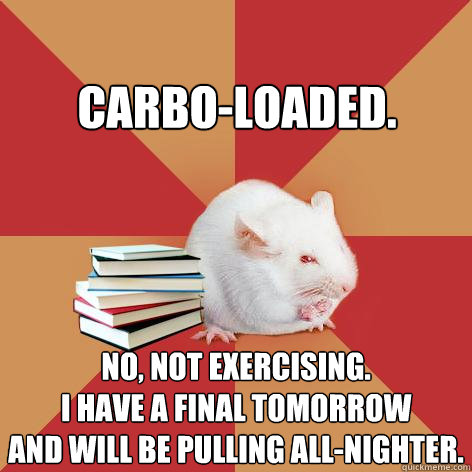 Carbo-loaded. No, not exercising.
I have a final tomorrow
and will be pulling all-nighter. - Carbo-loaded. No, not exercising.
I have a final tomorrow
and will be pulling all-nighter.  Science Major Mouse