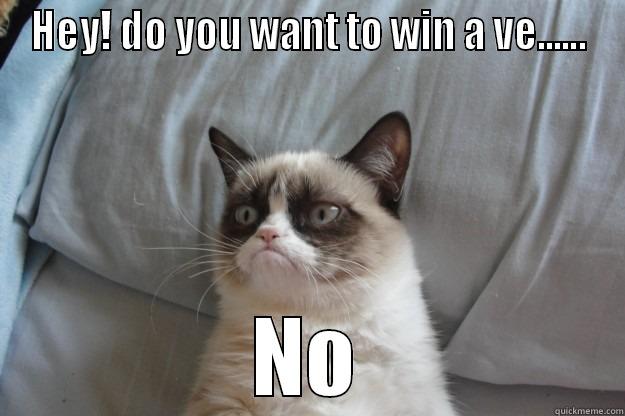 HEY! DO YOU WANT TO WIN A VE...... NO Grumpy Cat