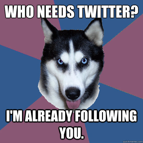 Who needs twitter? I'm already following you.   Creeper Canine