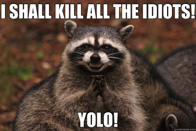 I SHALL KILL ALL THE IDIOTS! YOLO!  Evil Plotting Raccoon