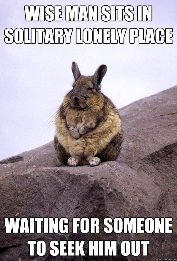 wise man sits in solitary lonely place waiting for someone to seek him out  Wise Wondering Viscacha