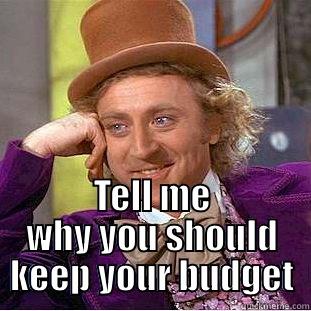 for mandra -  TELL ME WHY YOU SHOULD KEEP YOUR BUDGET Condescending Wonka