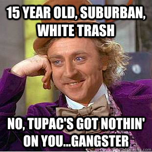 15 year old, suburban, white trash No, Tupac's got nothin' on you...gangster - 15 year old, suburban, white trash No, Tupac's got nothin' on you...gangster  Condescending Wonka